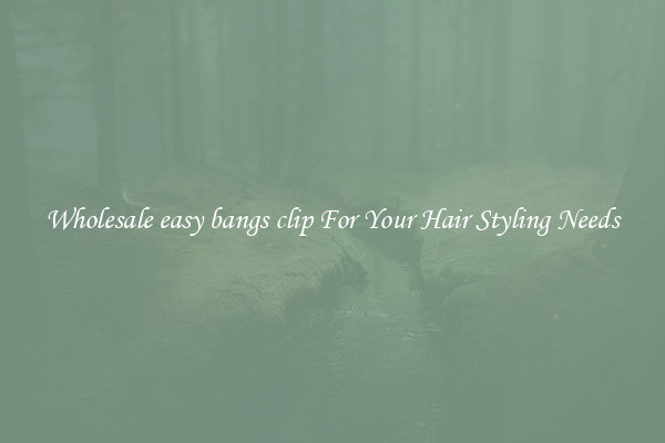 Wholesale easy bangs clip For Your Hair Styling Needs