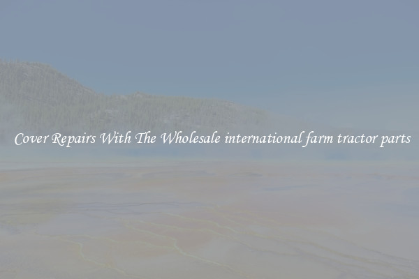  Cover Repairs With The Wholesale international farm tractor parts