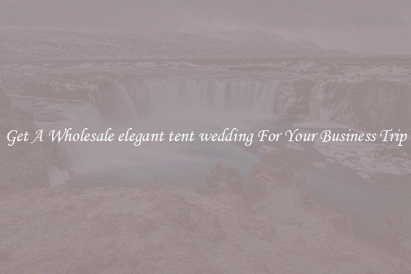 Get A Wholesale elegant tent wedding For Your Business Trip