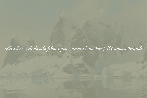 Flawless Wholesale fiber optic camera lens For All Camera Brands