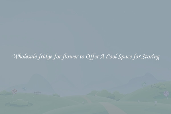 Wholesale fridge for flower to Offer A Cool Space for Storing