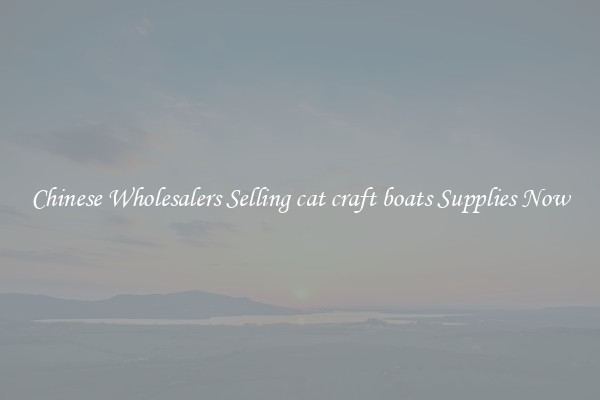 Chinese Wholesalers Selling cat craft boats Supplies Now