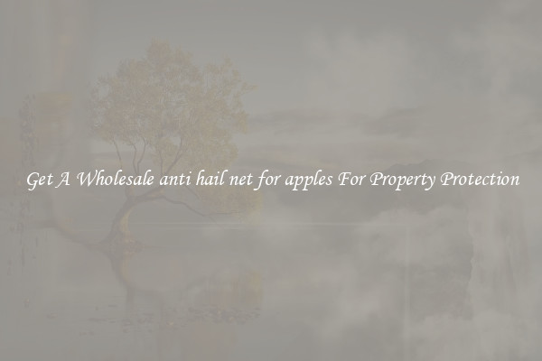 Get A Wholesale anti hail net for apples For Property Protection