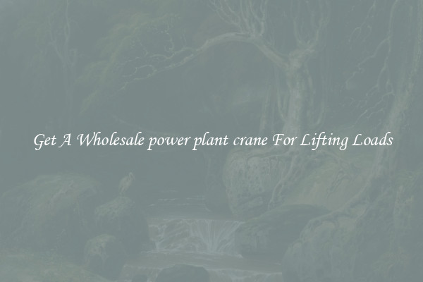 Get A Wholesale power plant crane For Lifting Loads