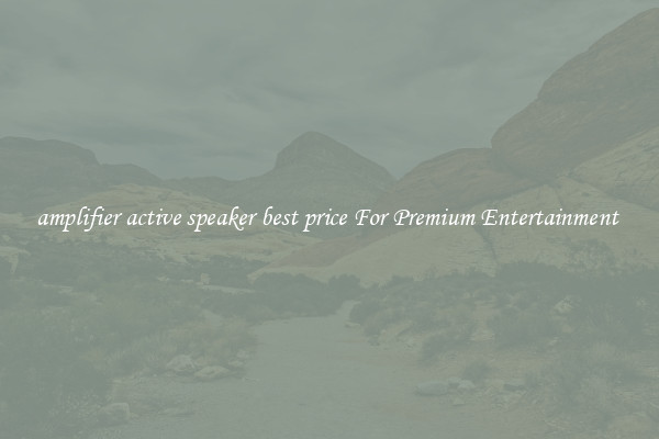 amplifier active speaker best price For Premium Entertainment 