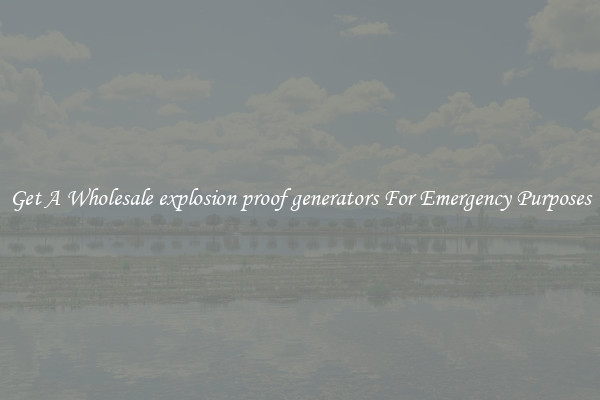 Get A Wholesale explosion proof generators For Emergency Purposes
