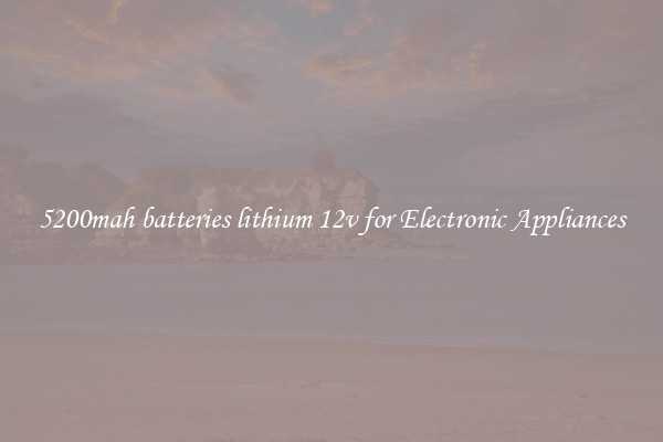 5200mah batteries lithium 12v for Electronic Appliances