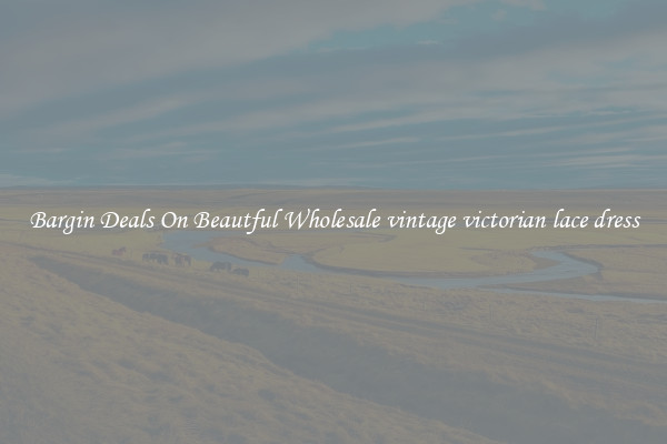 Bargin Deals On Beautful Wholesale vintage victorian lace dress