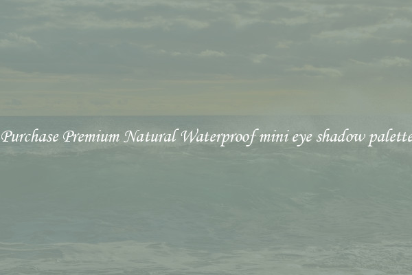 Purchase Premium Natural Waterproof mini eye shadow palette