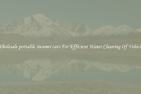 Wholesale portable steamer cars For Efficient Water Cleaning Of Vehicles