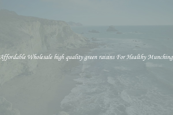 Affordable Wholesale high quality green raisins For Healthy Munching 