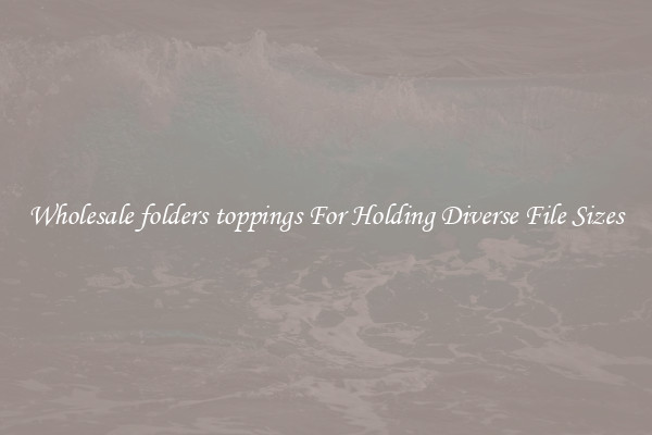 Wholesale folders toppings For Holding Diverse File Sizes