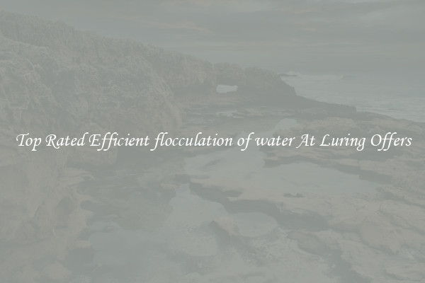 Top Rated Efficient flocculation of water At Luring Offers