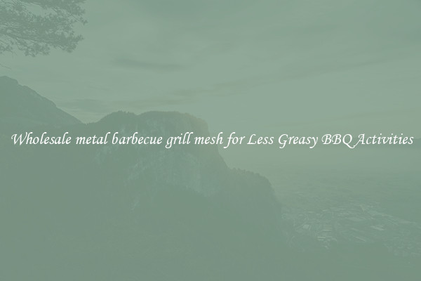 Wholesale metal barbecue grill mesh for Less Greasy BBQ Activities