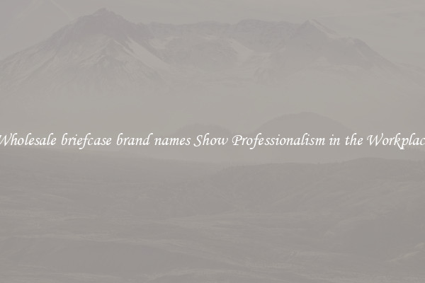 Wholesale briefcase brand names Show Professionalism in the Workplace
