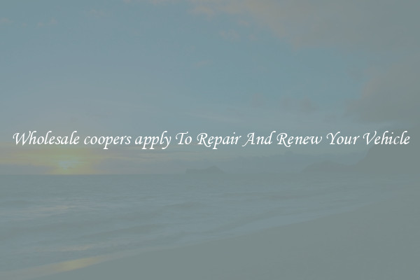 Wholesale coopers apply To Repair And Renew Your Vehicle