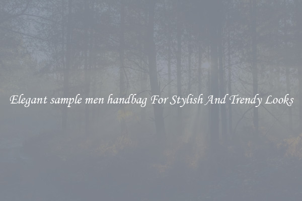 Elegant sample men handbag For Stylish And Trendy Looks