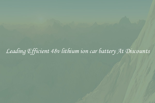 Leading Efficient 48v lithium ion car battery At Discounts