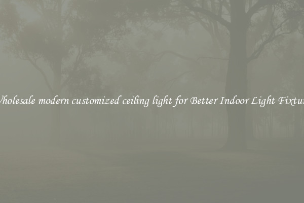 Wholesale modern customized ceiling light for Better Indoor Light Fixtures