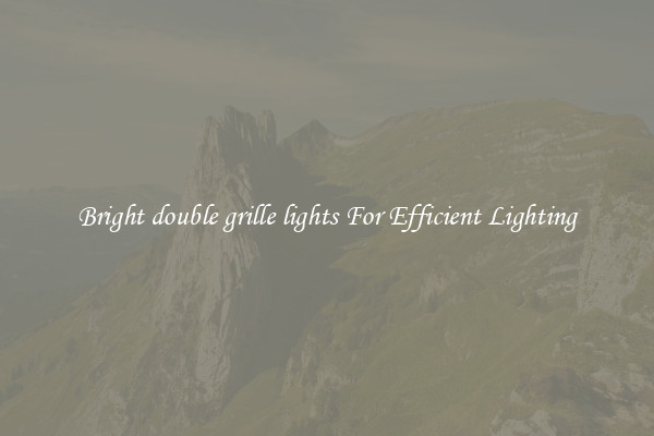Bright double grille lights For Efficient Lighting