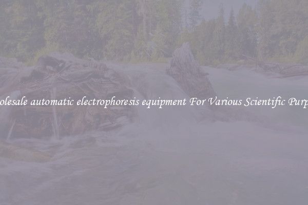 Wholesale automatic electrophoresis equipment For Various Scientific Purposes