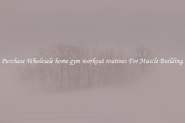 Purchase Wholesale home gym workout routines For Muscle Building.