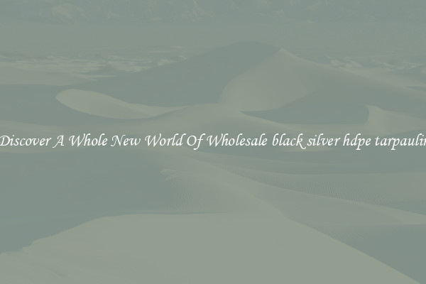 Discover A Whole New World Of Wholesale black silver hdpe tarpaulin