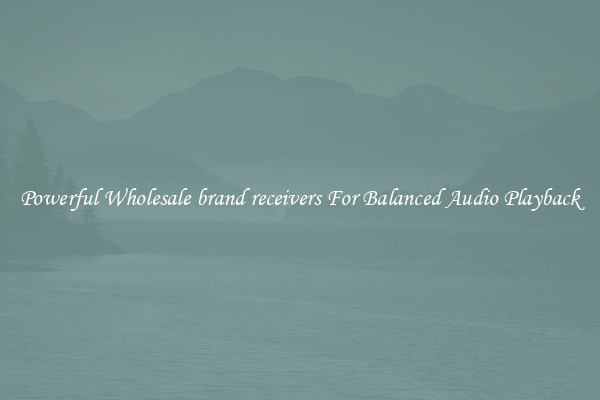Powerful Wholesale brand receivers For Balanced Audio Playback