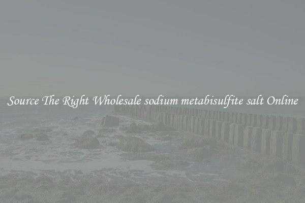 Source The Right Wholesale sodium metabisulfite salt Online