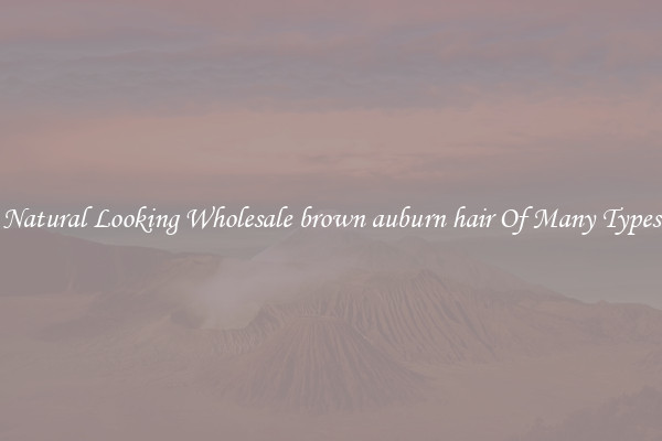 Natural Looking Wholesale brown auburn hair Of Many Types