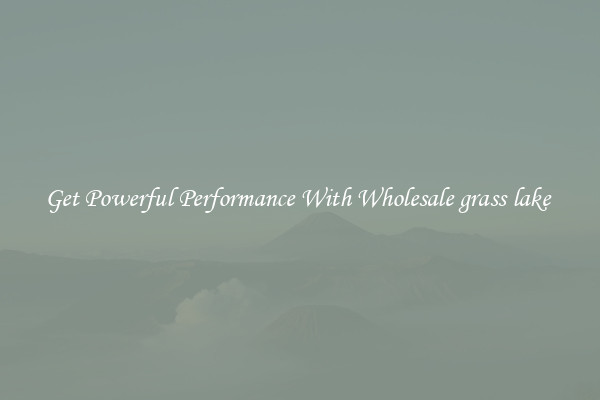 Get Powerful Performance With Wholesale grass lake 