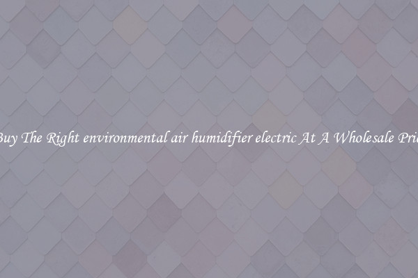 Buy The Right environmental air humidifier electric At A Wholesale Price