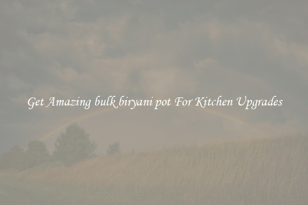 Get Amazing bulk biryani pot For Kitchen Upgrades