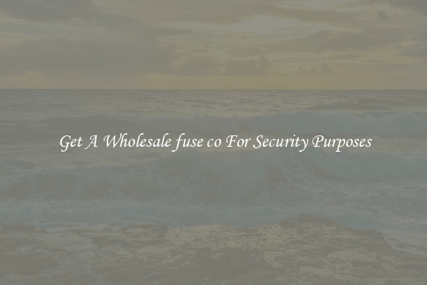 Get A Wholesale fuse co For Security Purposes